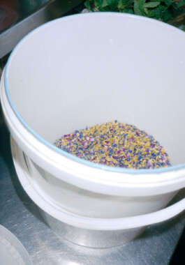 Carlota Barberán Madruga. Communication designer, branding, web design and social focused