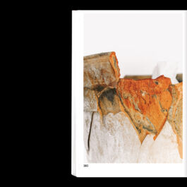 Carlota Barberán Madruga. Communication designer, branding, web design and social focused