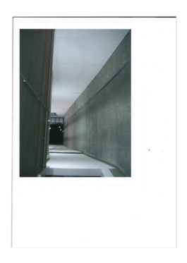 Carlota Barberán Madruga. Communication designer, branding, web design and social focused