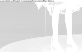 Carlota Barberán Madruga. Communication designer, branding, web design and social focused